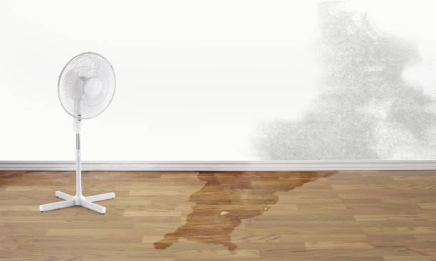 Best Fire Damage Restoration  in Tropical Park, FL