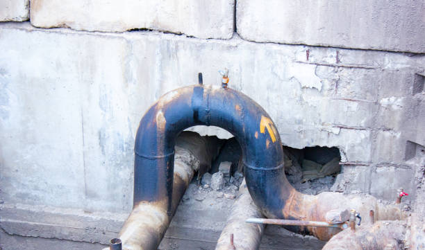 Carpet water damage restoration in Tropical Park, FL