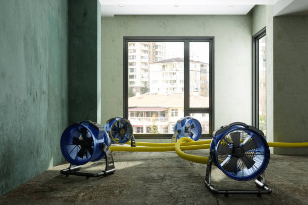 Local water damage restoration in Tropical Park, FL