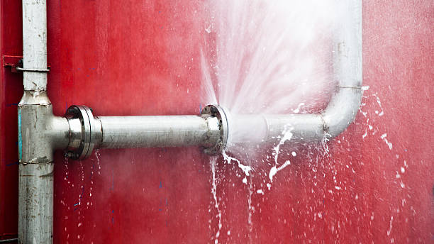 Best Water damage restoration near me  in Tropical Park, FL