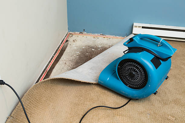 Local water damage restoration in Tropical Park, FL